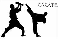 تحقیق کاراته